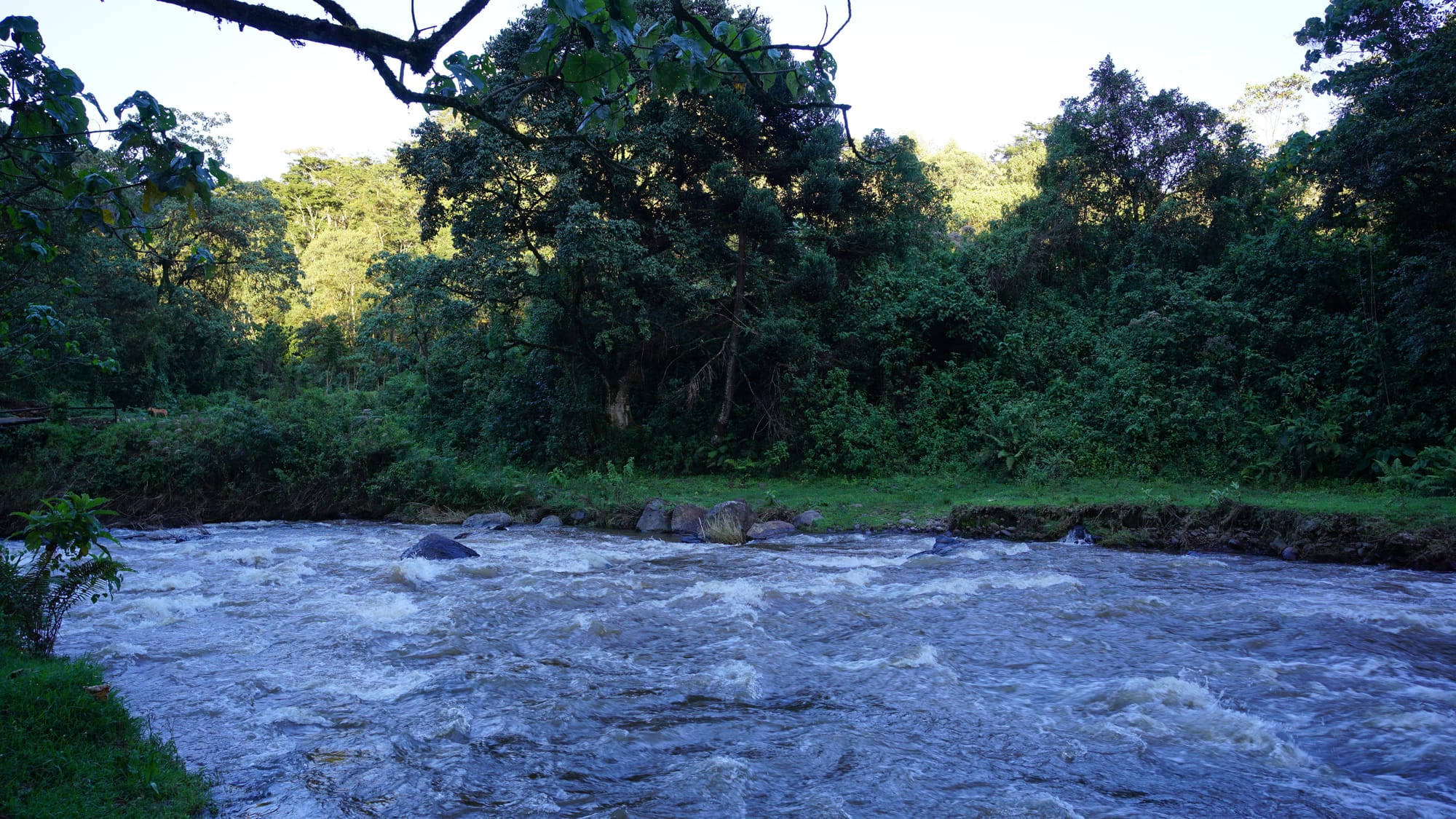 Weekend Camping at Gura River Camp