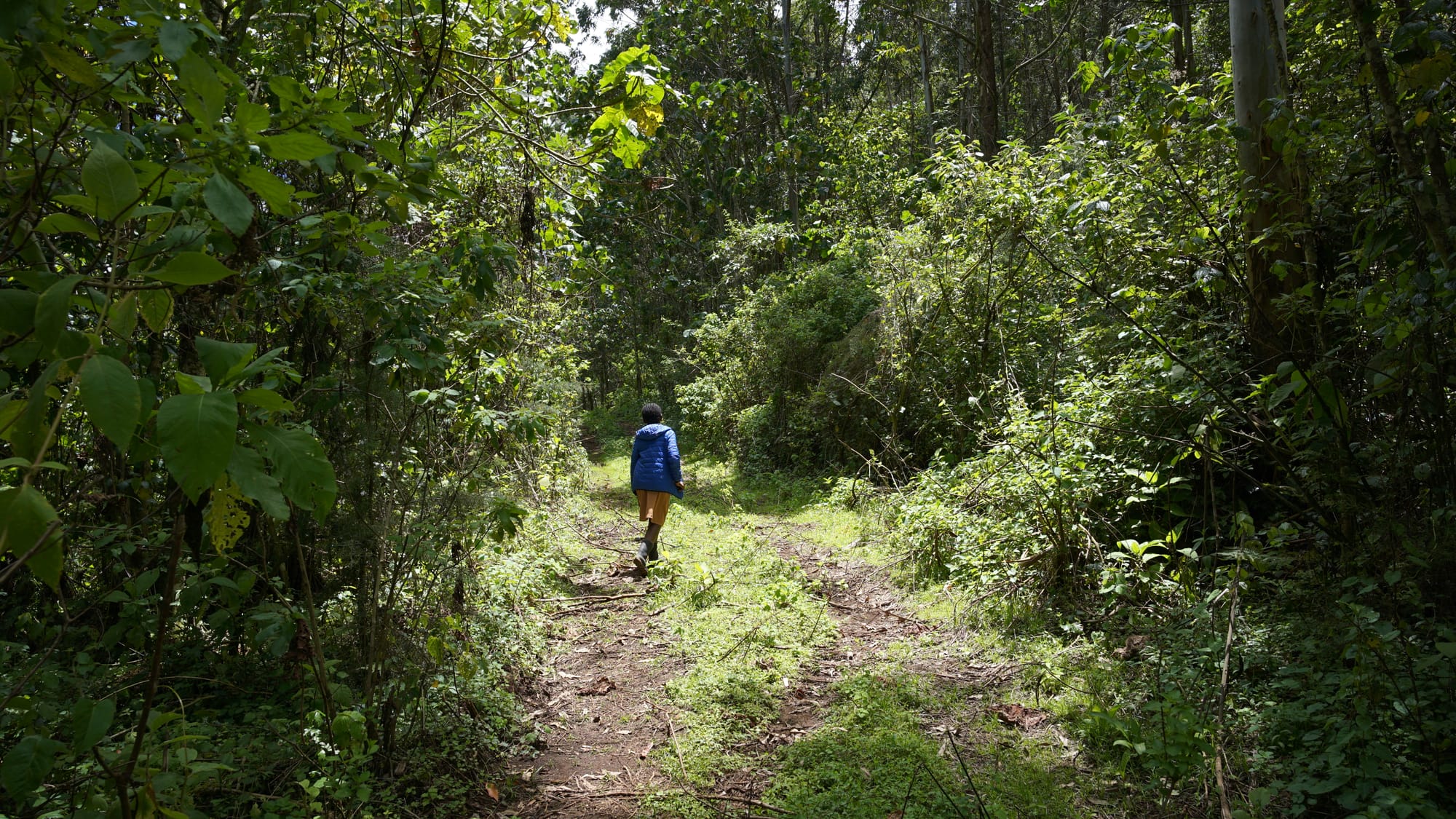 Weekend Camping at Gura River Camp