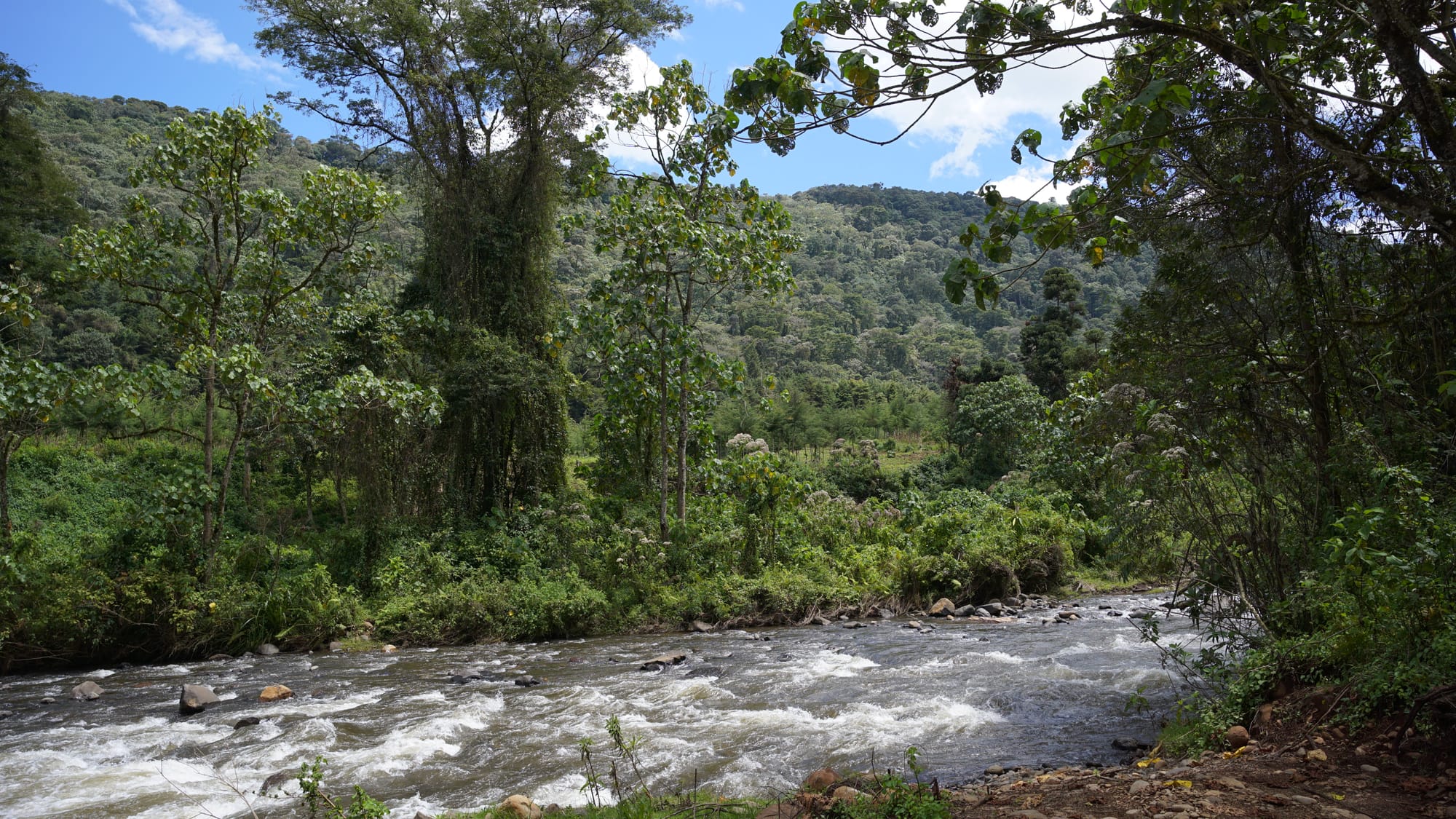 Weekend Camping at Gura River Camp
