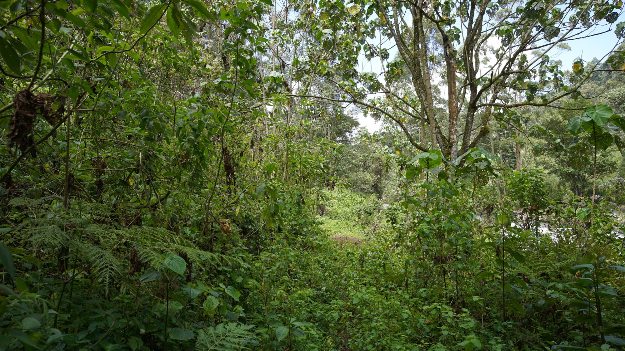 Weekend Camping at Gura River Camp