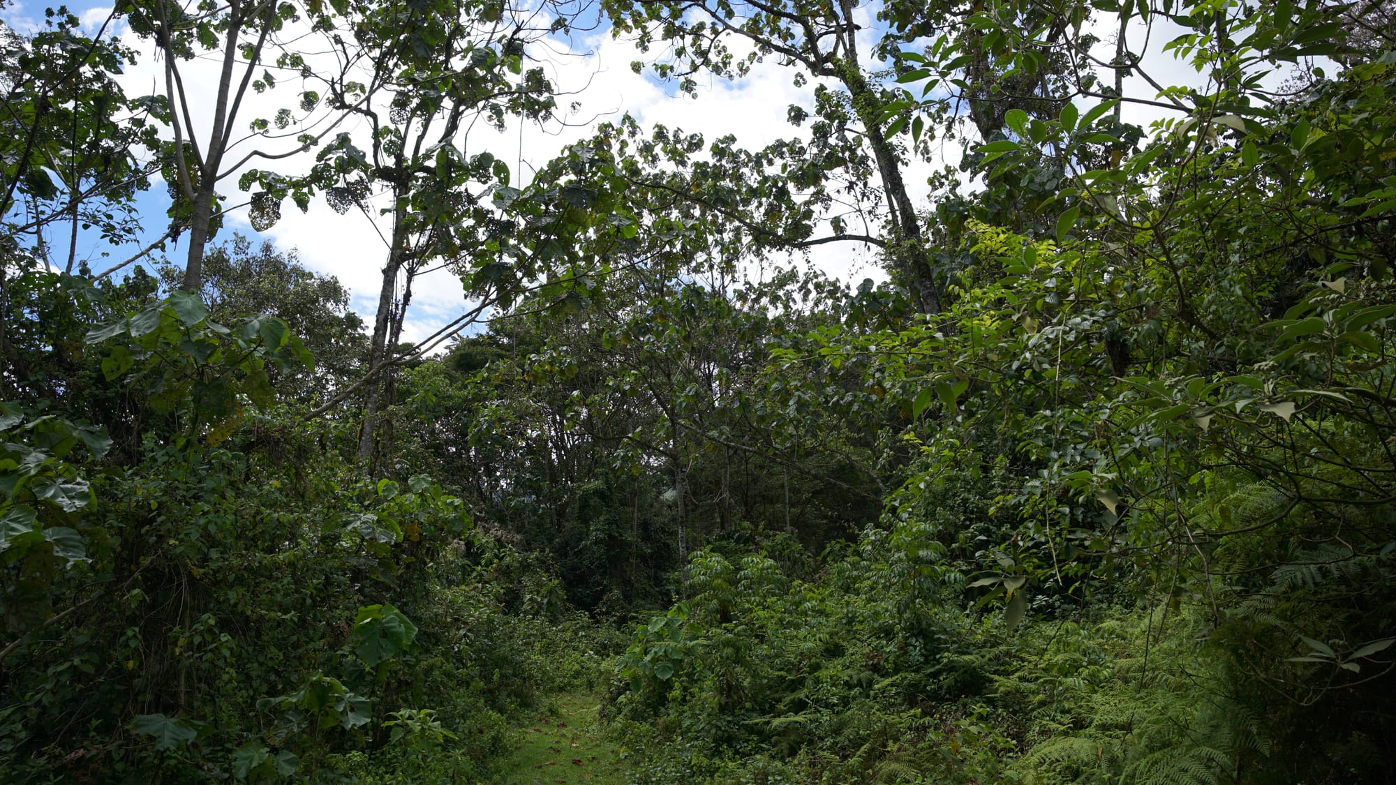 Weekend Camping at Gura River Camp