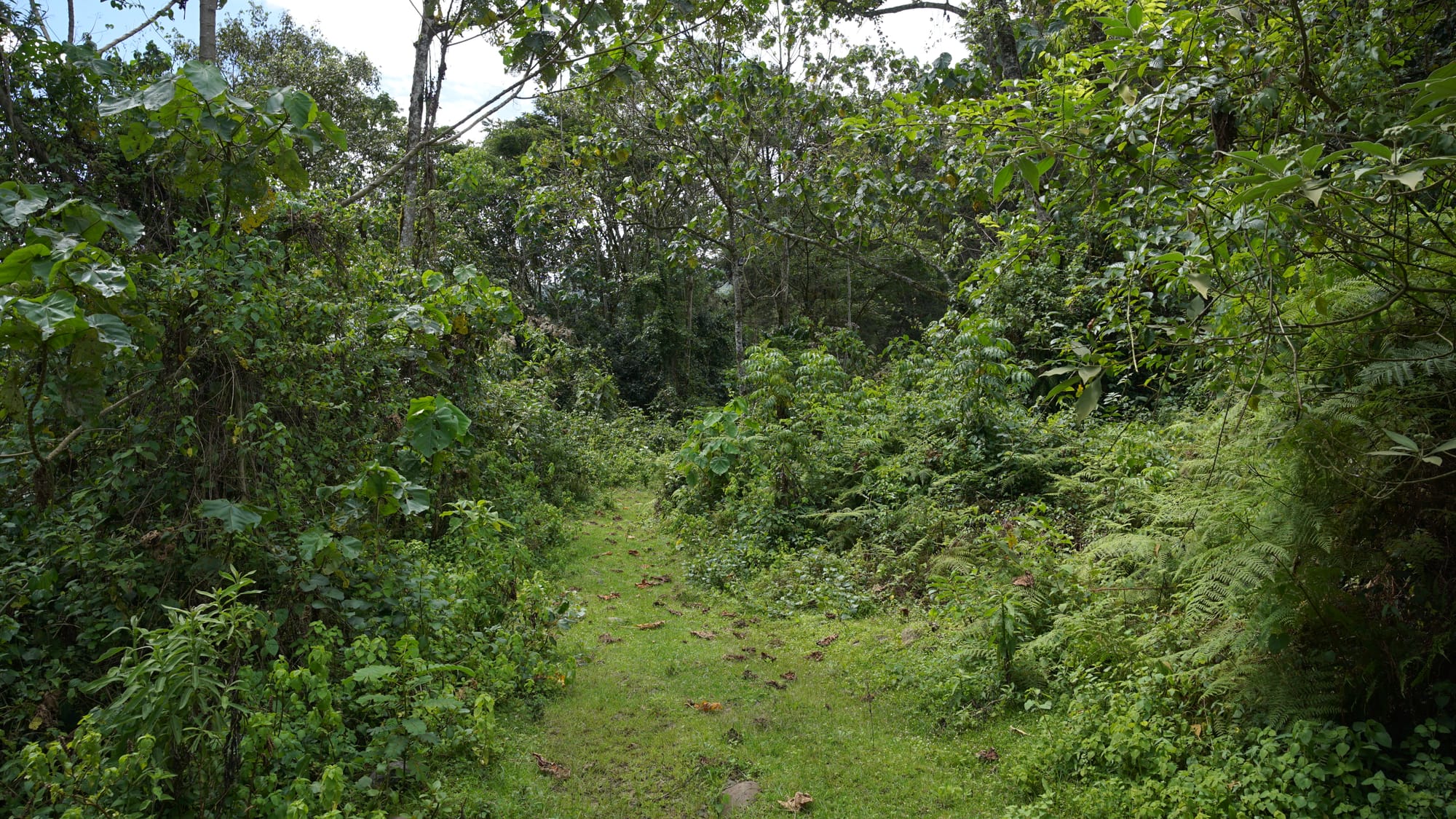 Weekend Camping at Gura River Camp