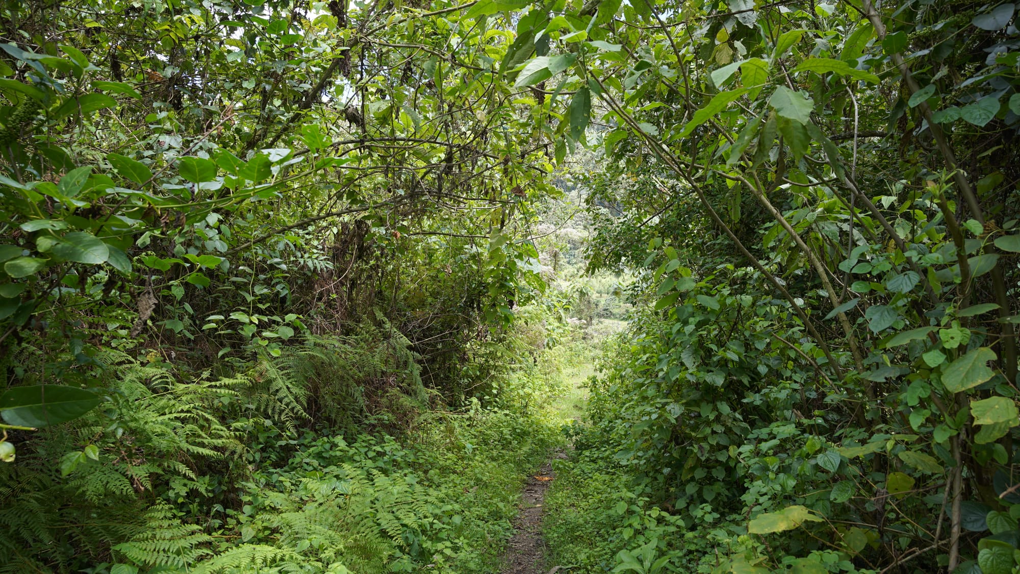 Weekend Camping at Gura River Camp