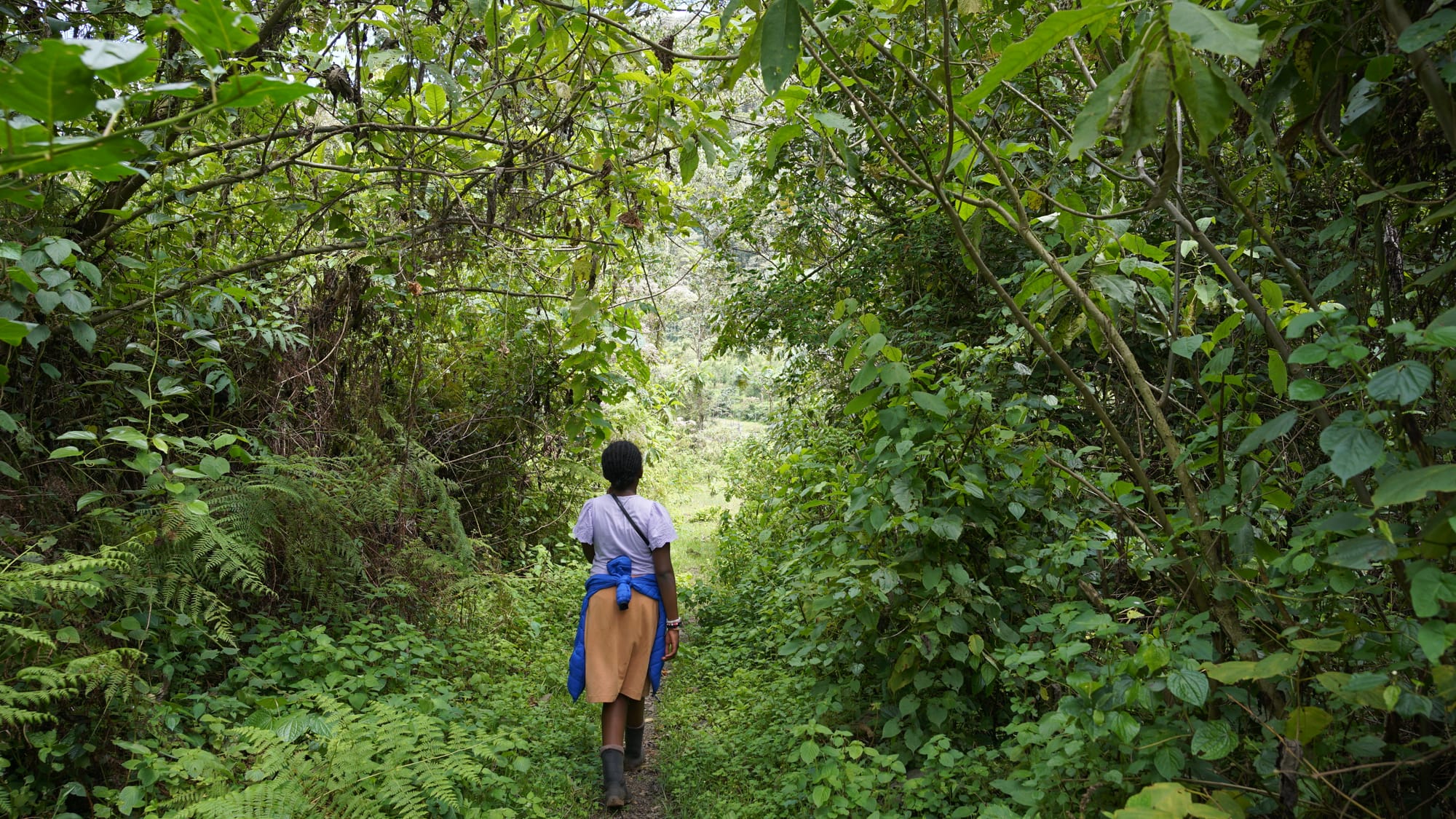 Weekend Camping at Gura River Camp