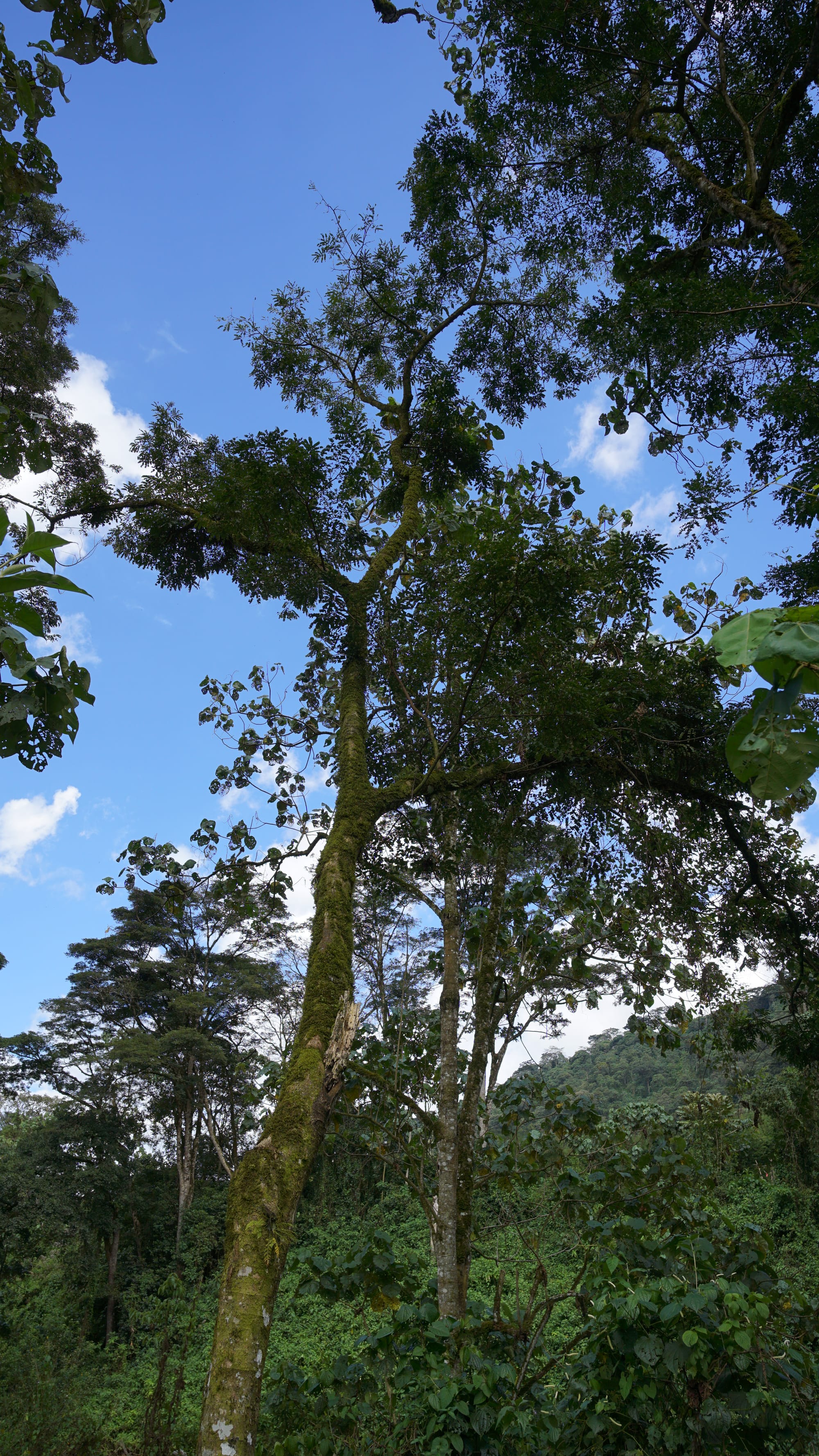 Weekend Camping at Gura River Camp