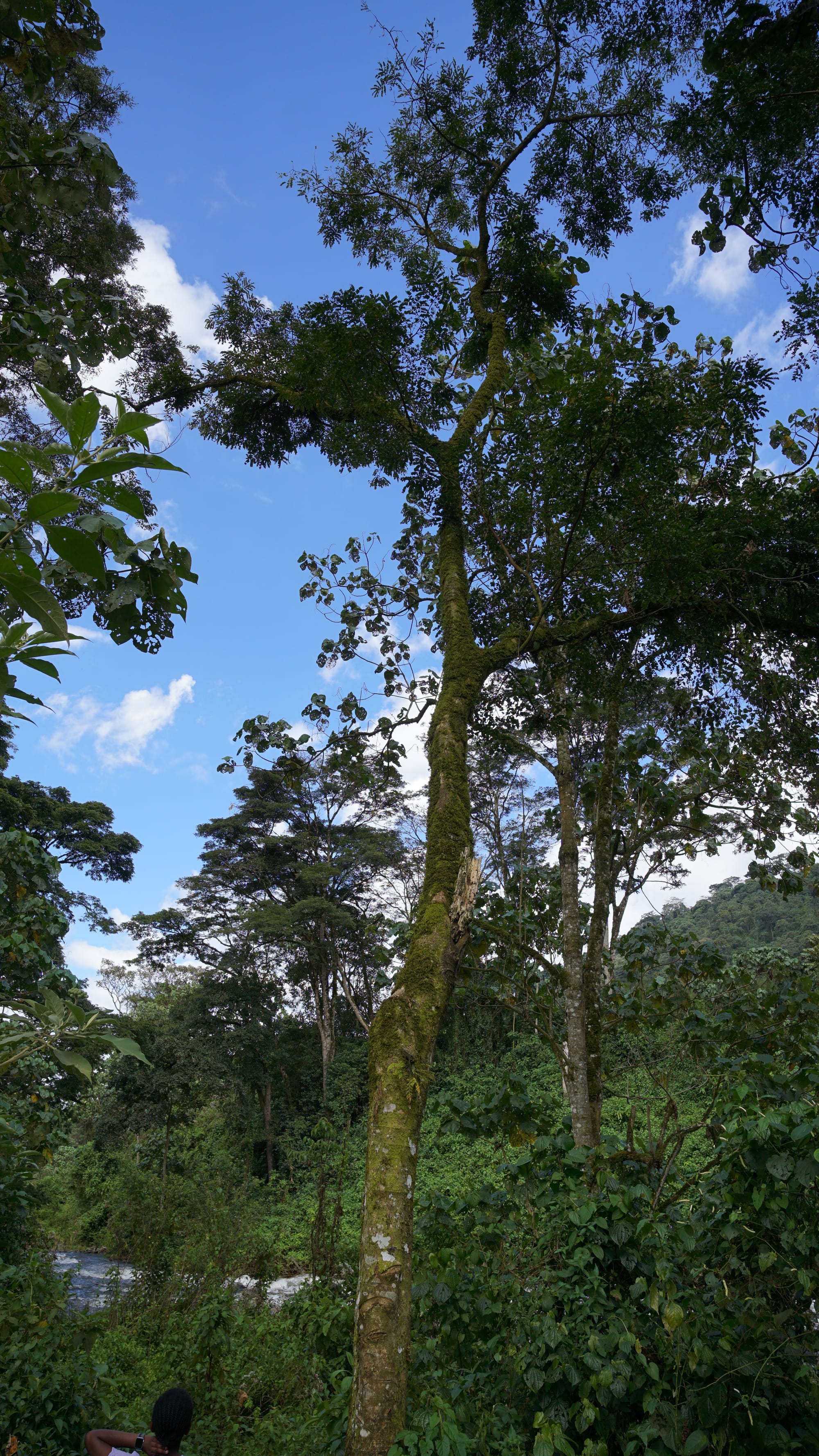 Weekend Camping at Gura River Camp