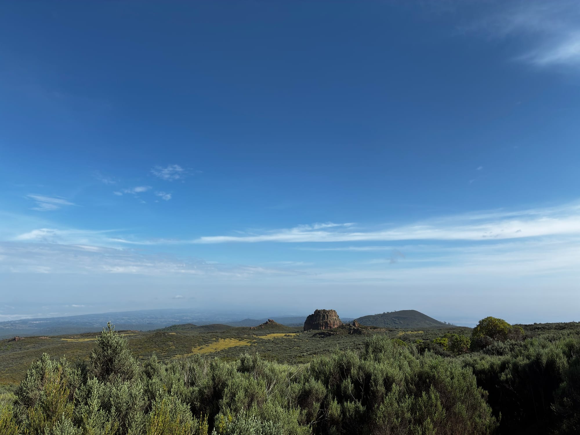 A view back across low moorland shrubs towards the rock outcrops at Twin Rocks.